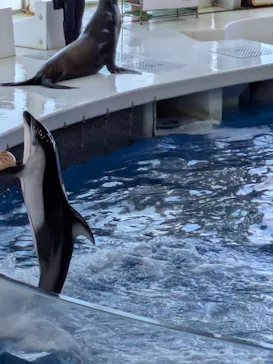 アクアワールド茨城県大洗水族館に投稿された画像（2026/5/10）