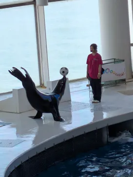 アクアワールド茨城県大洗水族館に投稿された画像（2026/5/10）