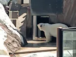 恩賜上野動物園に投稿された画像（2026/5/10）