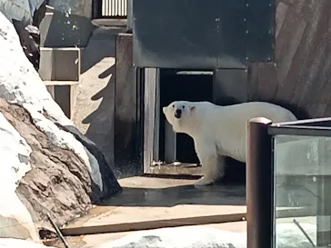 恩賜上野動物園に投稿された画像（2026/5/10）