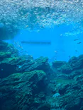 仙台うみの杜水族館に投稿された画像（2026/5/10）
