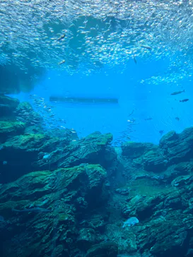 仙台うみの杜水族館に投稿された画像（2026/5/10）