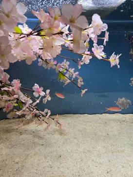 仙台うみの杜水族館に投稿された画像（2026/5/10）