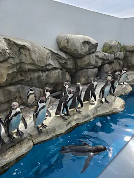 仙台うみの杜水族館に投稿された画像（2026/5/10）