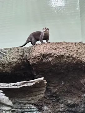 仙台うみの杜水族館に投稿された画像（2026/5/10）