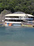 下田海中水族館に投稿された画像（2026/5/10）