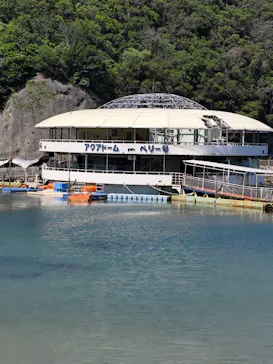 下田海中水族館に投稿された画像（2026/5/10）