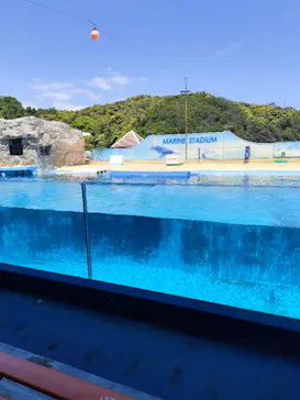 下田海中水族館に投稿された画像（2026/5/10）