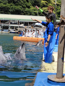 下田海中水族館に投稿された画像（2026/5/10）