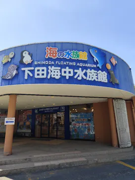 下田海中水族館に投稿された画像（2026/5/10）