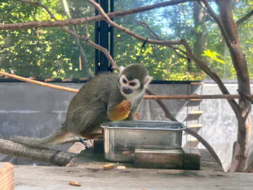 いしかわ動物園に投稿された画像（2026/5/10）