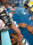 竹島水族館に投稿された画像（2026/5/10）
