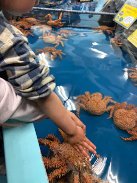 竹島水族館に投稿された画像（2026/5/10）