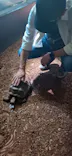 体感型動物園iZooに投稿された画像（2026/5/10）