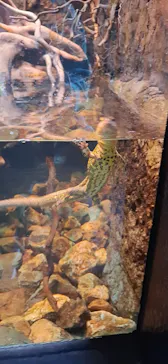 体感型動物園iZooに投稿された画像（2026/5/10）