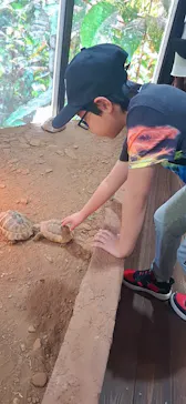 体感型動物園iZooに投稿された画像（2026/5/10）