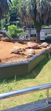 体感型動物園iZooに投稿された画像（2026/5/10）