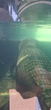 体感型動物園iZooに投稿された画像（2026/5/10）