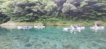 仁淀川アウトドアセンターに投稿された画像（2026/5/10）