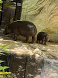 恩賜上野動物園に投稿された画像（2026/5/10）
