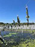 栃木県なかがわ水遊園に投稿された画像（2026/5/10）