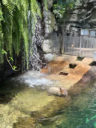 栃木県なかがわ水遊園に投稿された画像（2026/5/10）