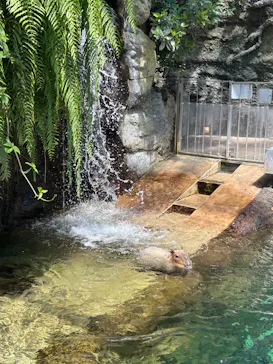 栃木県なかがわ水遊園に投稿された画像（2026/5/10）
