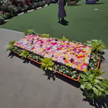 ひらかたパークに投稿された画像（2026/5/10）