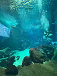 マリンワールド海の中道に投稿された画像（2026/5/10）