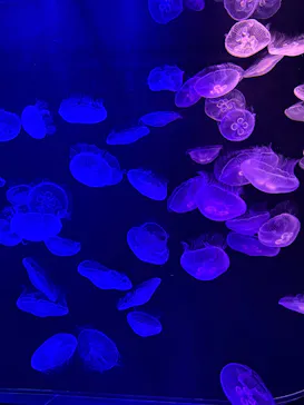 マリンワールド海の中道に投稿された画像（2026/5/10）