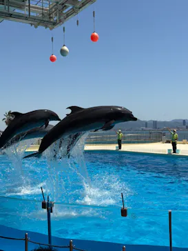 マリンワールド海の中道に投稿された画像（2026/5/10）