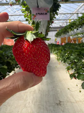 the BERRY YOKOHAMAに投稿された画像（2026/5/10）