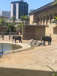 天王寺動物園に投稿された画像（2026/5/10）