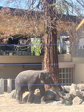 天王寺動物園に投稿された画像（2026/5/10）