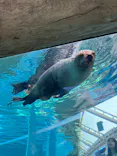 京都水族館に投稿された画像（2026/5/10）
