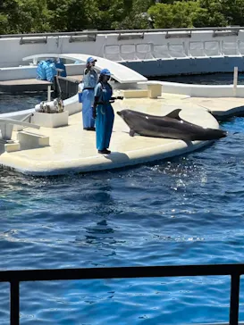京都水族館に投稿された画像（2026/5/10）