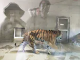 天王寺動物園に投稿された画像（2026/5/10）