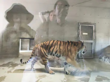 天王寺動物園に投稿された画像（2026/5/10）