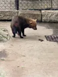 名古屋市東山動植物園に投稿された画像（2026/5/10）