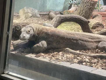 名古屋市東山動植物園に投稿された画像（2026/5/10）