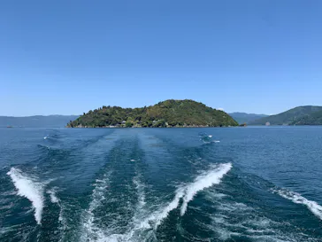 琵琶湖汽船に投稿された画像（2026/5/10）
