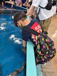 竹島水族館に投稿された画像（2026/5/10）