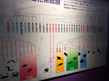 特別展「超危険生物展　科学で挑む生き物の本気」に投稿された画像（2026/5/10）