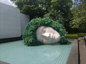 彫刻の森美術館に投稿された画像（2026/5/10）