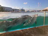 横浜・八景島シーパラダイスに投稿された画像（2026/5/10）