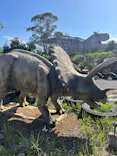 伊豆ぐらんぱる公園に投稿された画像（2026/5/10）