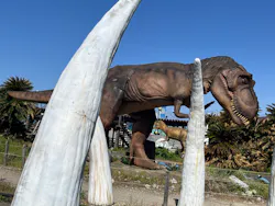 伊豆ぐらんぱる公園に投稿された画像（2026/5/10）