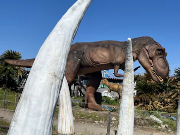 伊豆ぐらんぱる公園に投稿された画像（2026/5/10）