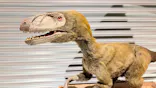 T-REX展～ティラノサウルスの進化～（新潟県立自然科学館）に投稿された画像（2026/5/10）