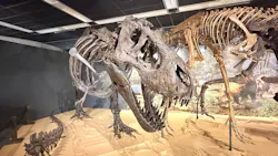T-REX展～ティラノサウルスの進化～（新潟県立自然科学館）に投稿された画像（2026/5/10）